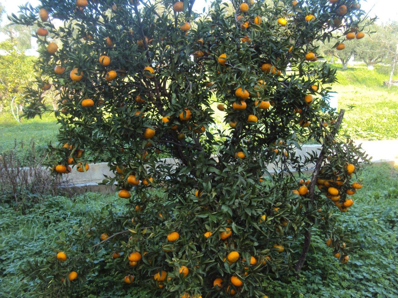 Villa Nostos Koróni Kültér fotó