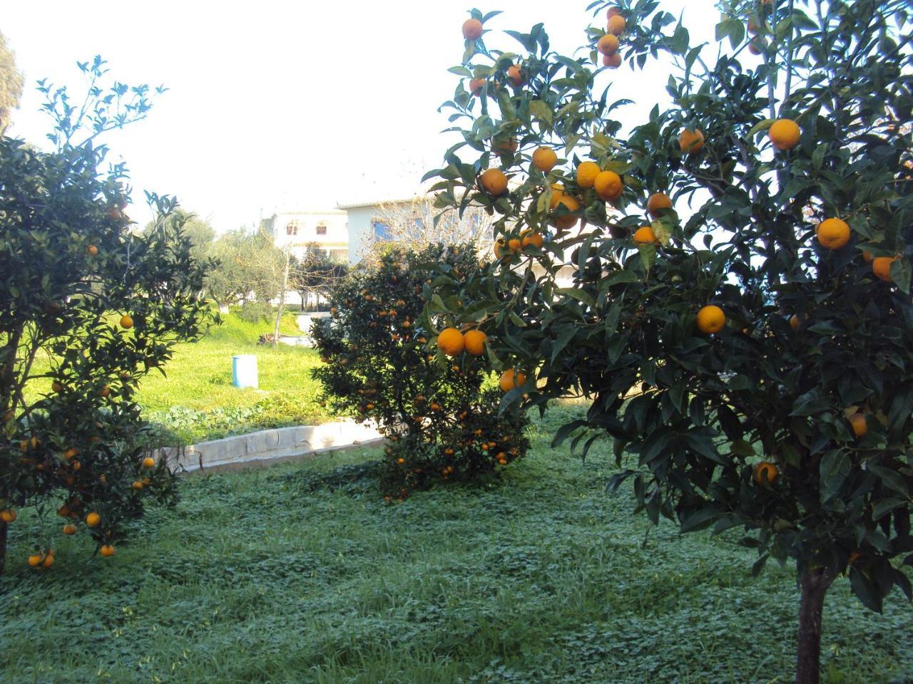 Villa Nostos Koróni Kültér fotó